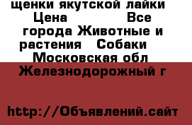 щенки якутской лайки › Цена ­ 15 000 - Все города Животные и растения » Собаки   . Московская обл.,Железнодорожный г.